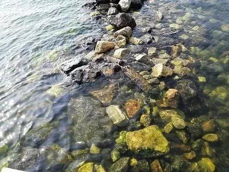 被列入重点排污名单,排污口被查