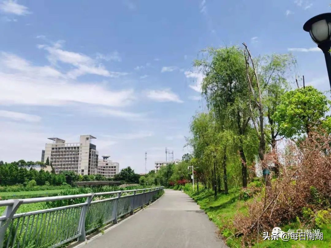 南湖的生态公园,南湖公园在未来哪里