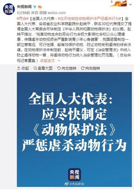 金毛被男子疯狂虐待，志愿者被威胁报复，有些人内心到底有多黑暗