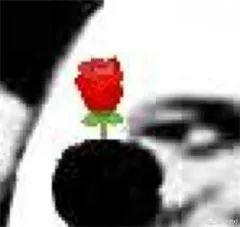 吃瓜一词是怎么来的,吃瓜一词的由来