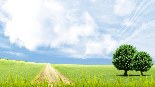 有福气的牛宝宝名字,聪慧的牛宝宝名字大全