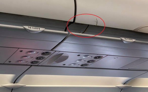 越南航班上有蛇吗,飞机上现诡异一幕空姐钻上行李架