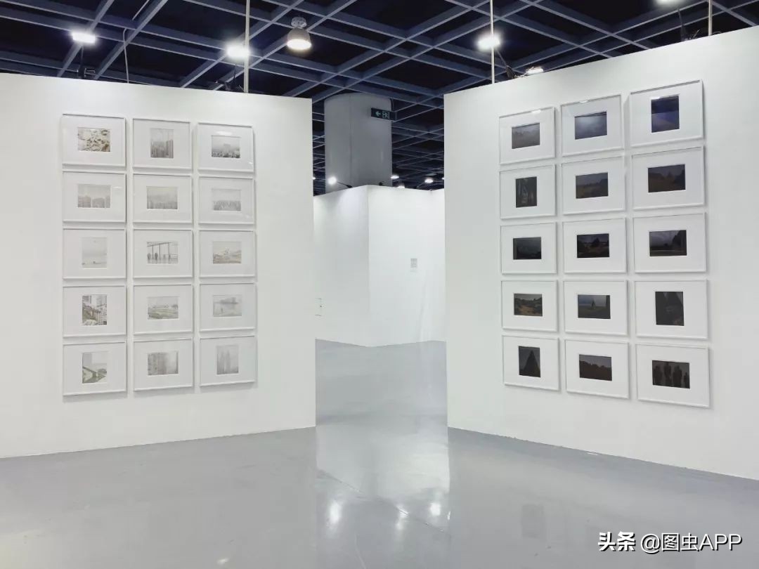 图虫opensealab摄影,图虫看动物世界系列