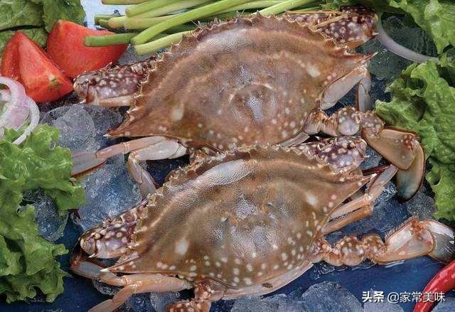 这五种螃蟹一定不要买,买螃蟹时有哪些注意事项