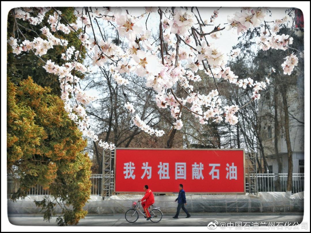 中石化和中石油的汽油哪个好,中石化比中石油贵多少