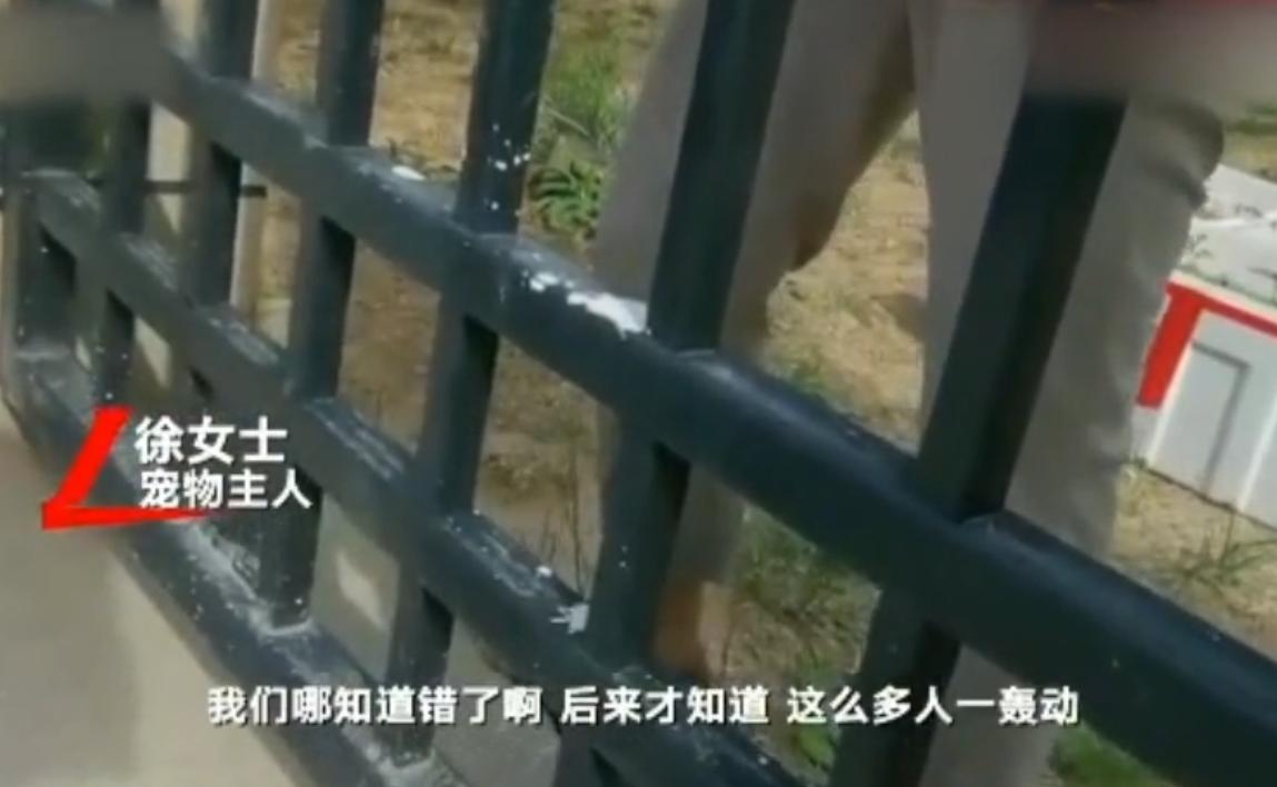 “寻狗赠房”系打印错误？北京寻狗赠房狗主人回应：因天黑没看就贴了，半夜接到三百个电话