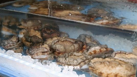 鑸屽皷涓婄殑缇庨娣卞害涔嬫梾,甯︿綘浜彈鑸屽皷涓婄殑缇庨