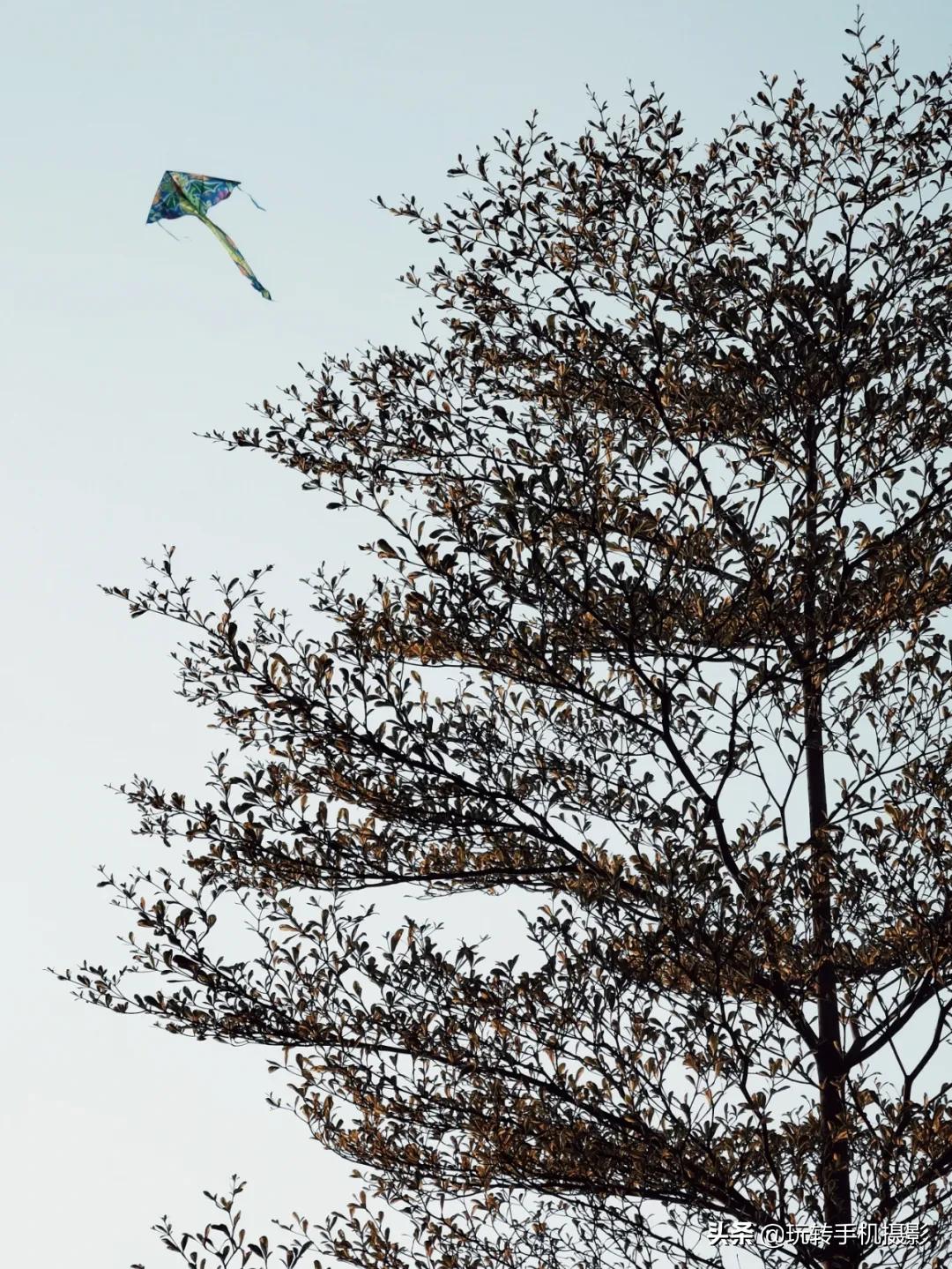 起风了拍照,起风了场景写真拍照