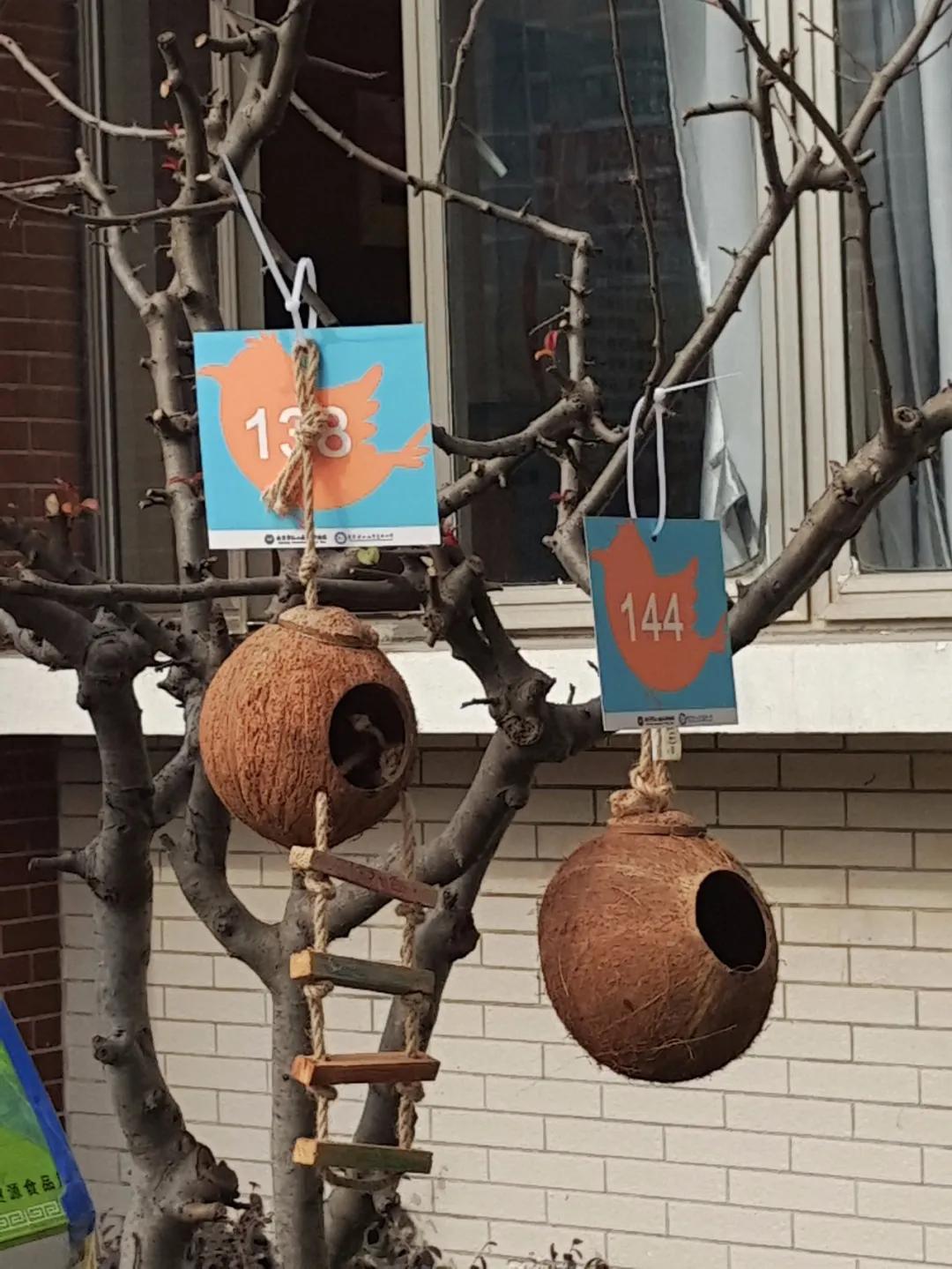 南京比较好的小学学校排名,南京名校小学最新排名