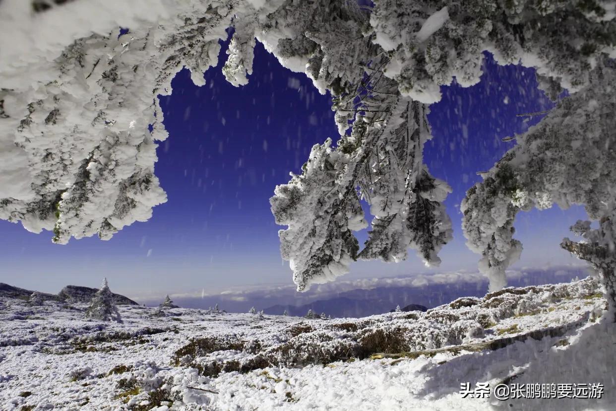 云南大理巍山火把节2019,云南巍山火把节