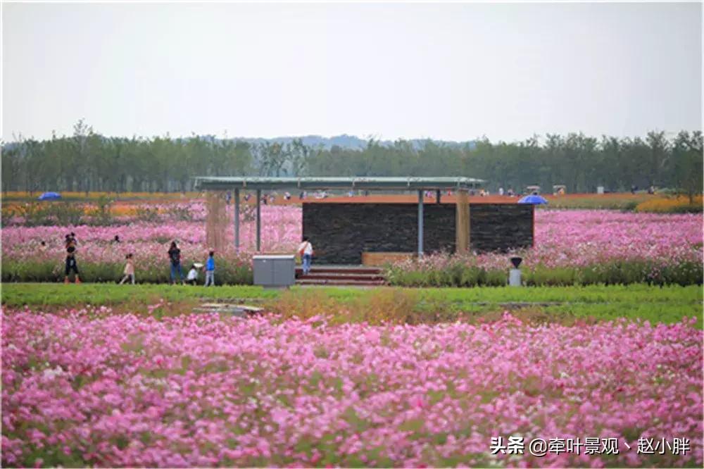 踏春寻美景,踏春赏花梯田漫步
