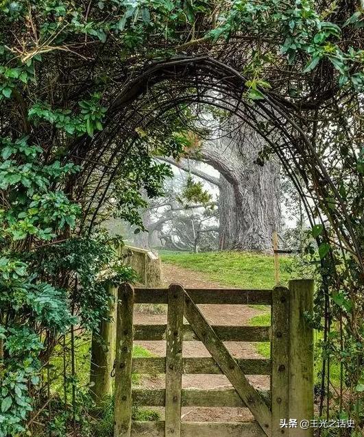 新西兰是地球最后的净土吗,新西兰十大未解之谜