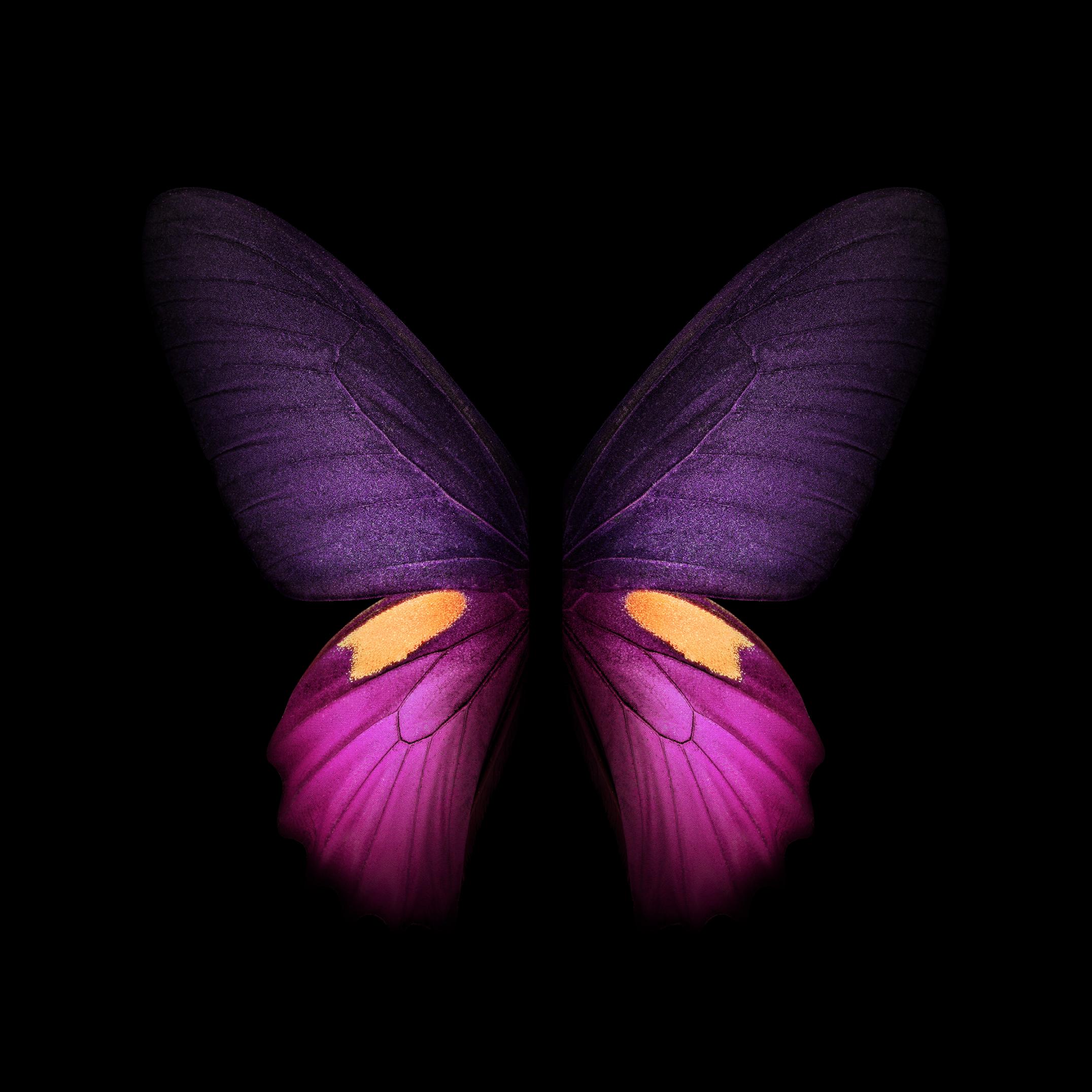 三星fold3tb联名版主题壁纸,三星fold顶级绝美全屏壁纸