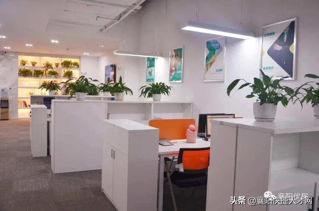 瑗勯槼浼樺眳,瑗勯槼浼樺眳缃戠粶绉戞妧鏈夐檺鍏徃