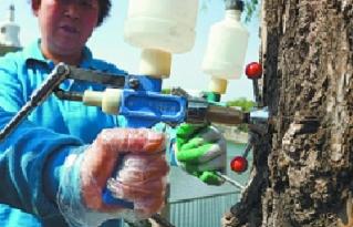 让你过敏,让人过敏的方法