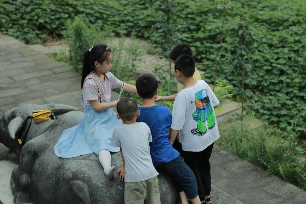 义渡古镇和走马古镇,走马古镇值不值得去