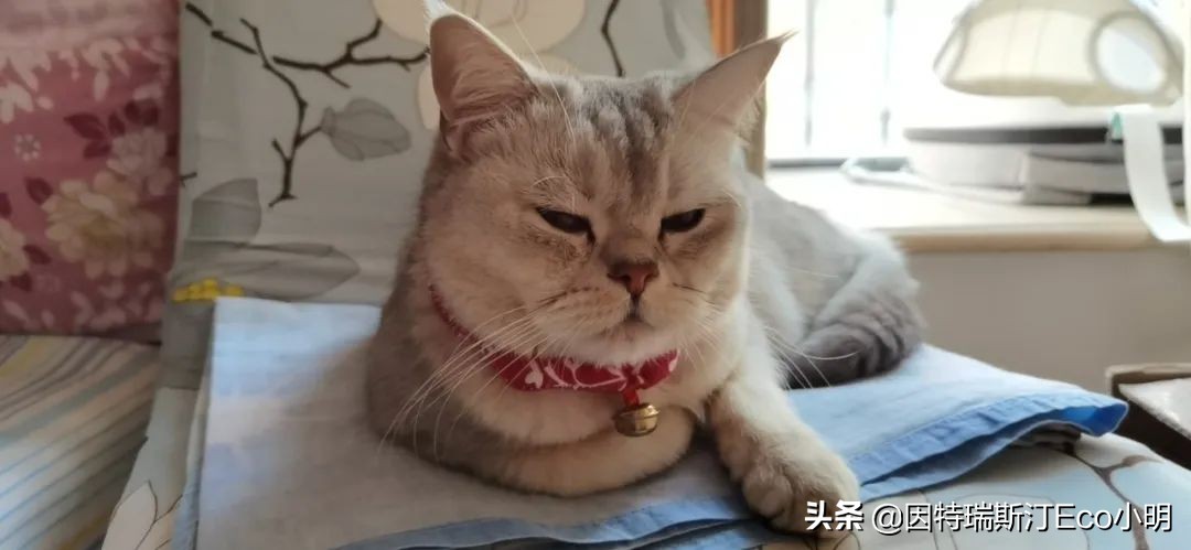 北韭南植基金抱团正在南边上演