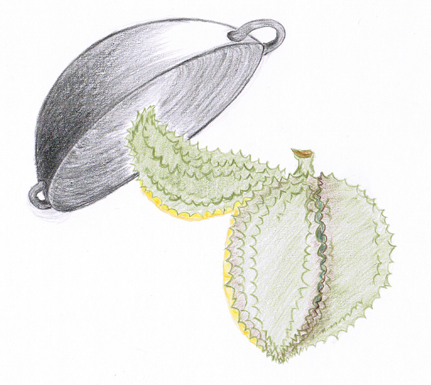 照妖镜1.8,照妖镜2.1