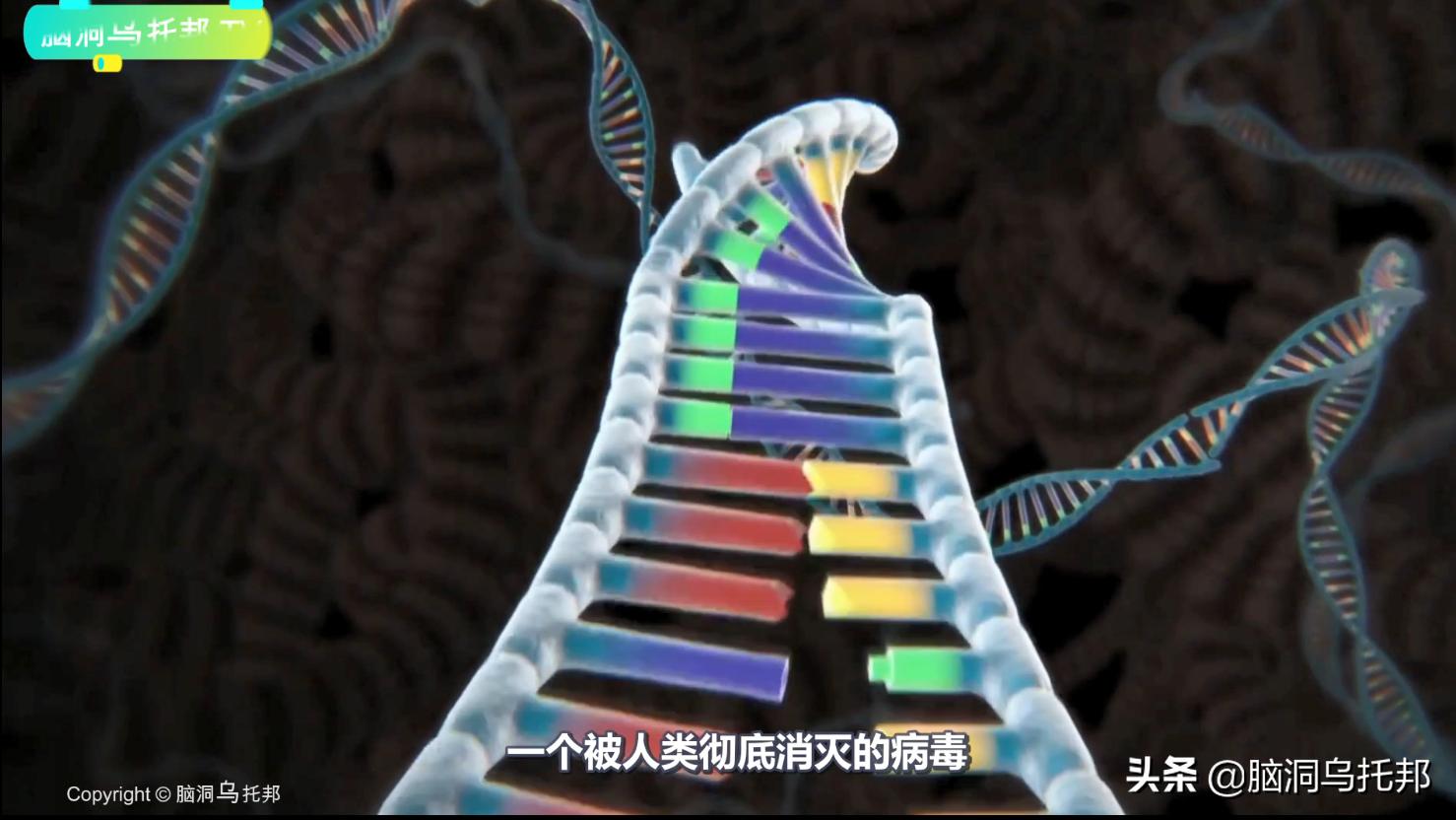 人类第一个消灭的致命病毒是什么,人类史上第一例被消灭的致命病毒