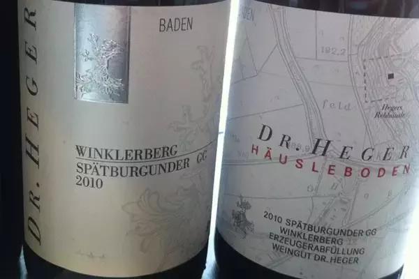 黑皮诺基本特点,讲解黑皮诺