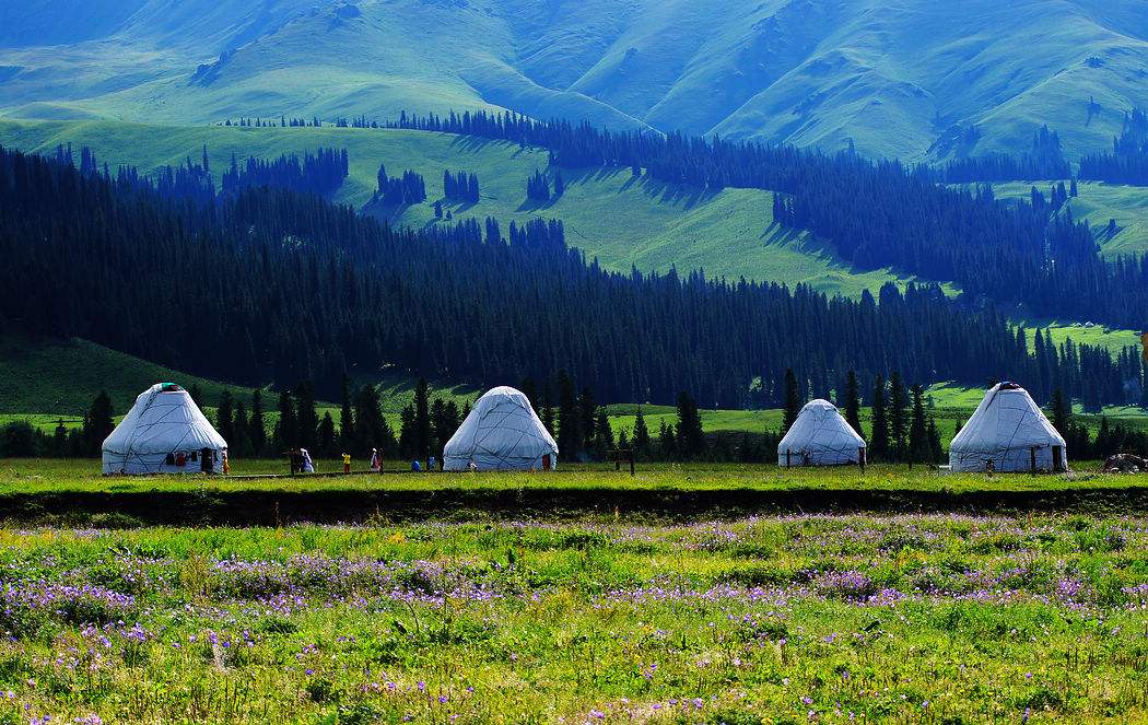 疆旅租车,疆途旅行租车