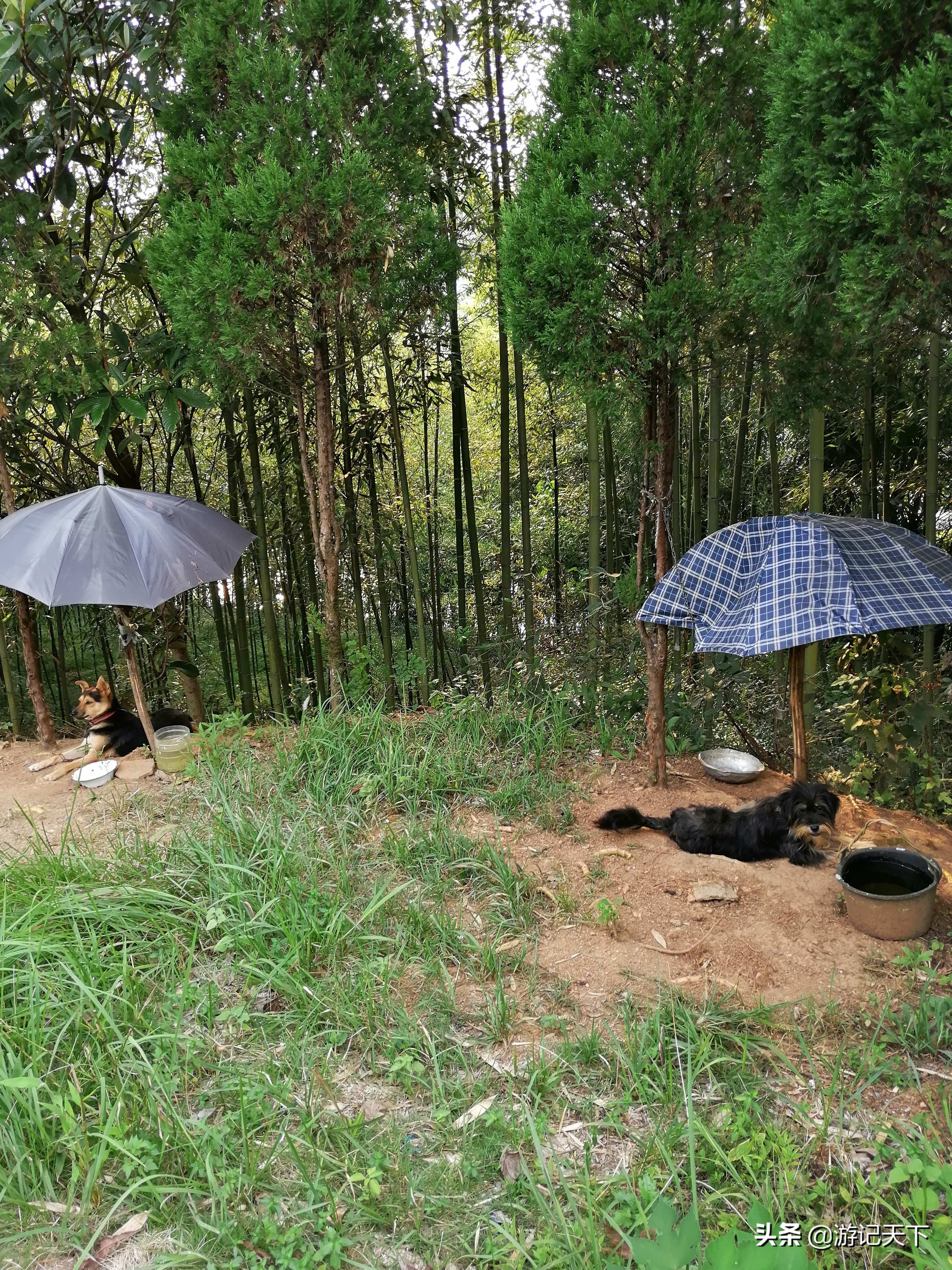 龙川新龙川,龙川东至龙川西