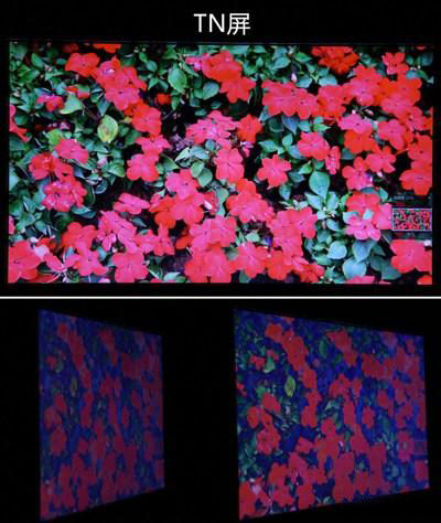 ipsvatn屏幕哪个不伤眼,怎么看屏幕是ips还是tn
