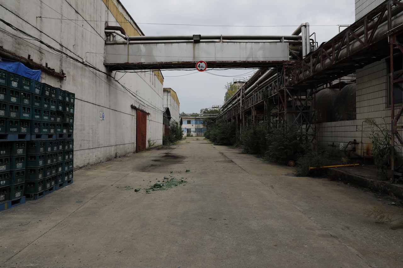湖北武汉东西湖雪花啤酒,武汉东西湖华润雪花啤酒厂怎么样