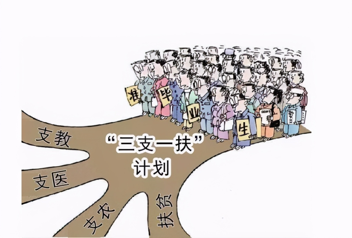 大学生就业路径,西部计划的优势?学生应该知道