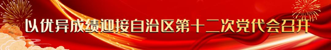 广州漫城平南项目调研座谈会召开