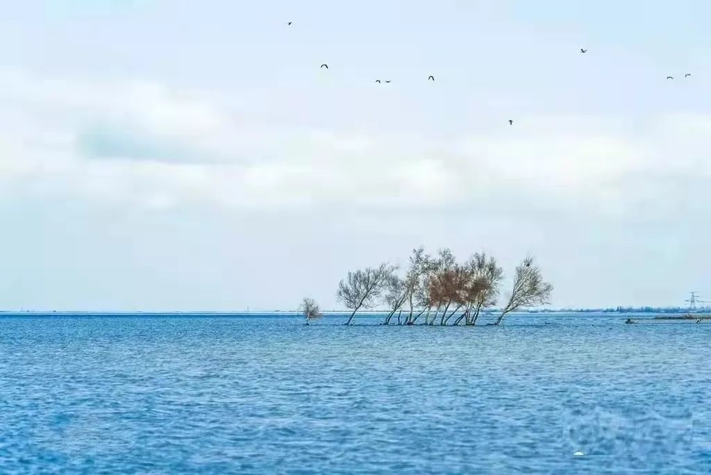 塔城生态环境优美,新疆是个好地方塔城
