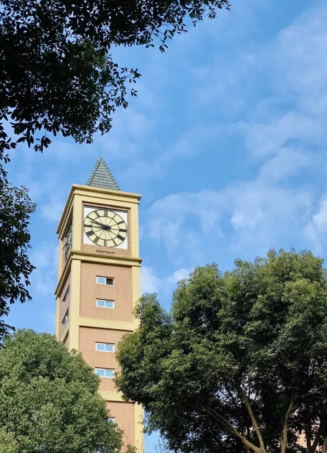 择校成都外国语学校,成都美视国际高中招生