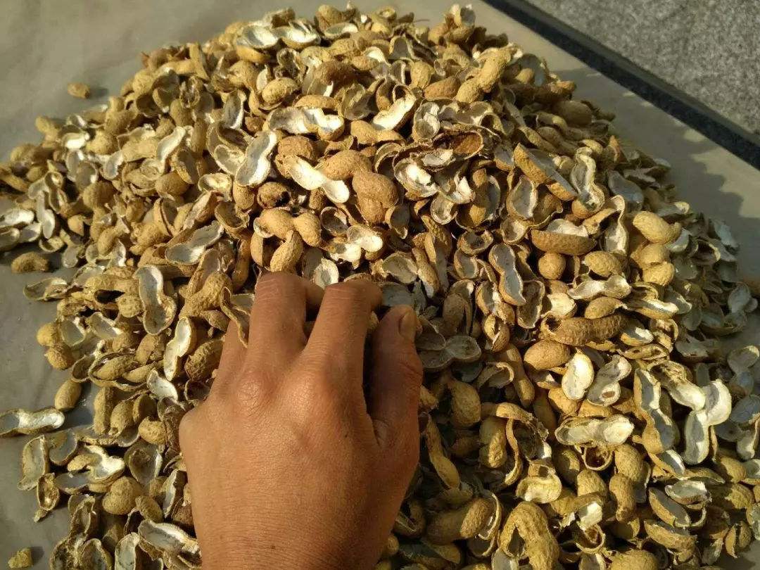 家家有的废旧物品,家家都能做的废物利用小制品