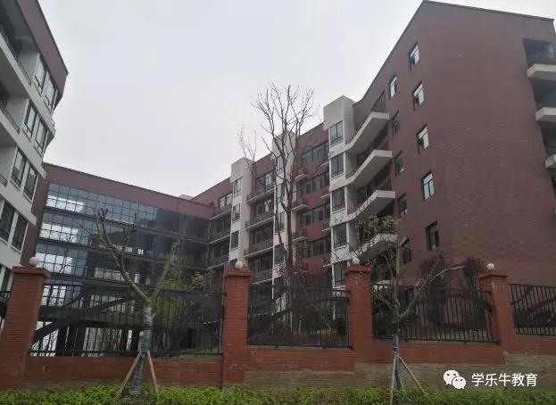 大连金州重点初中,西附金州校区到底如何