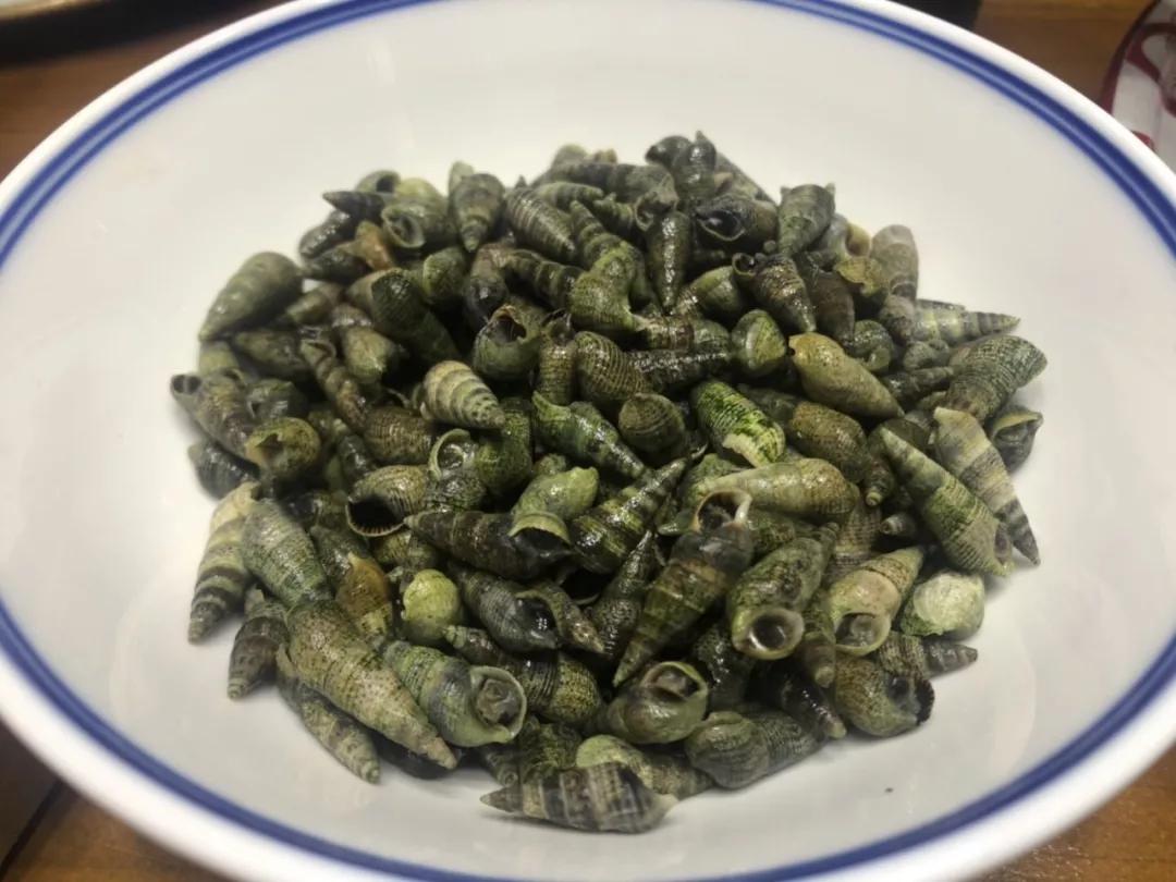 开海特价海鲜,开海的海鲜视频