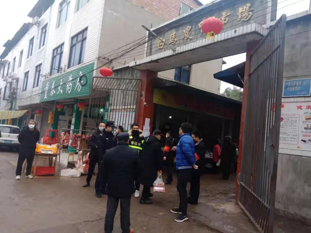 疫情防控乡镇卡点工作,乡镇疫情防控各村卡点