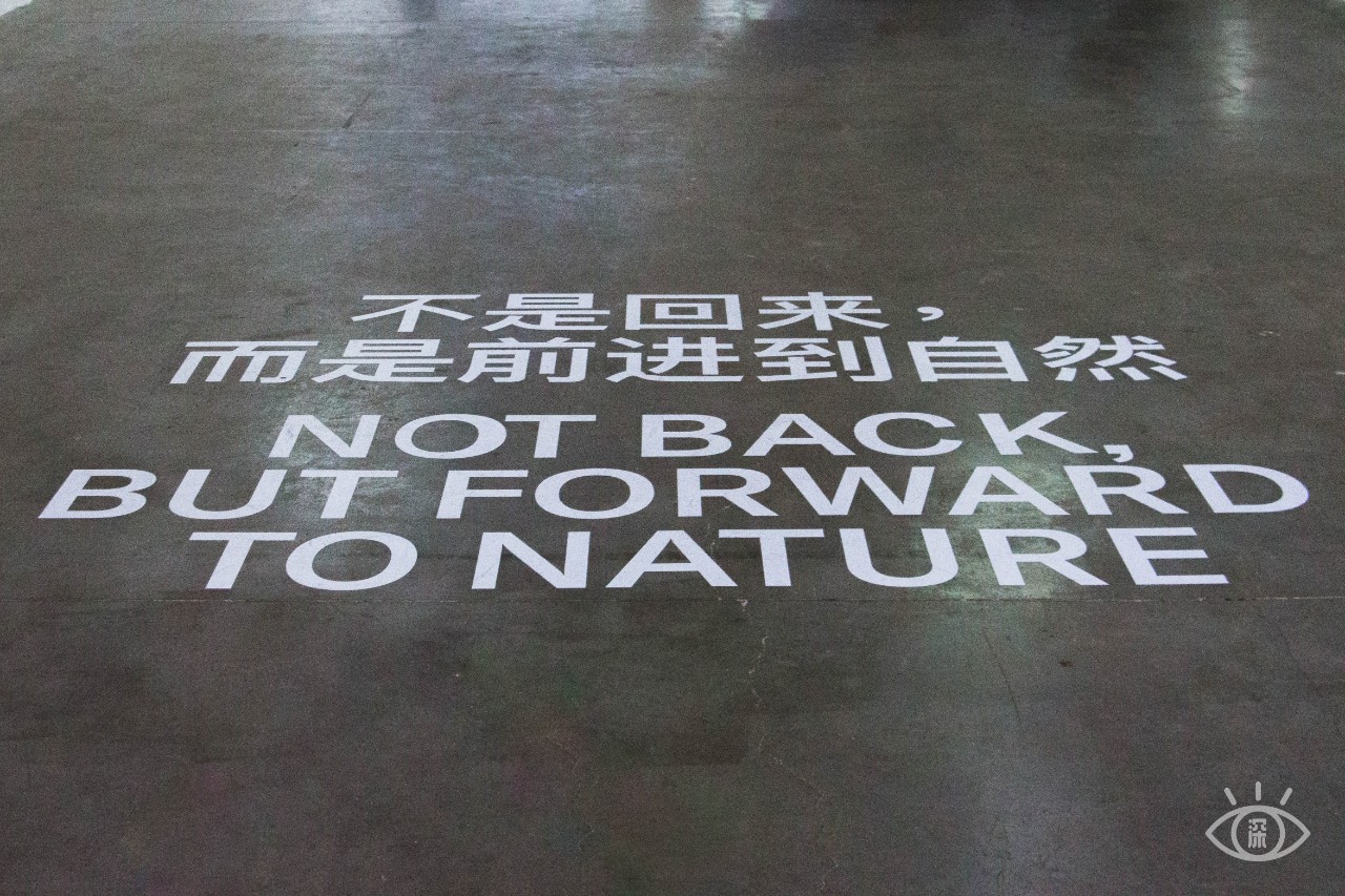 深圳也有这么美的地方,深圳最大水立方