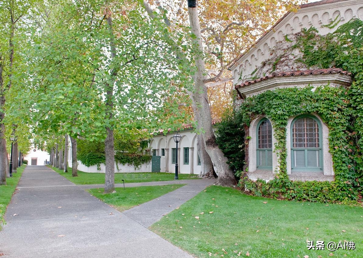 美国100所最好的大学,美国大学排名前100完整版