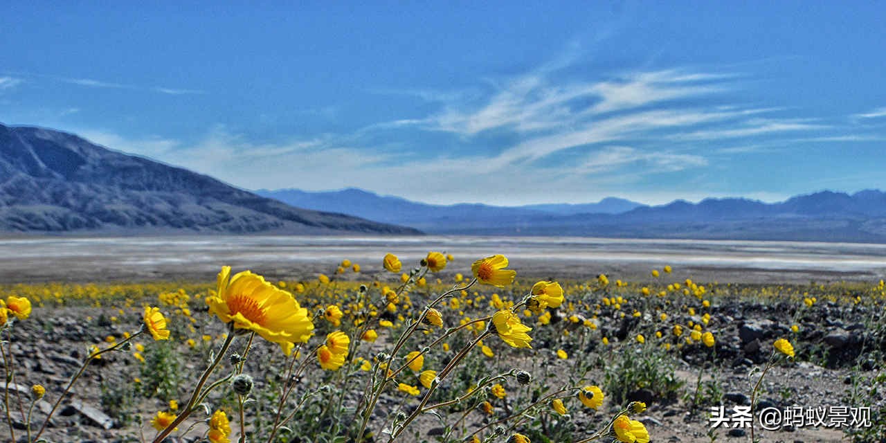蒙太奇如何学习,蒙太奇理解