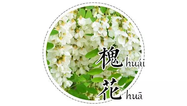 吃槐花注意事项,开始吃槐花了会怎样