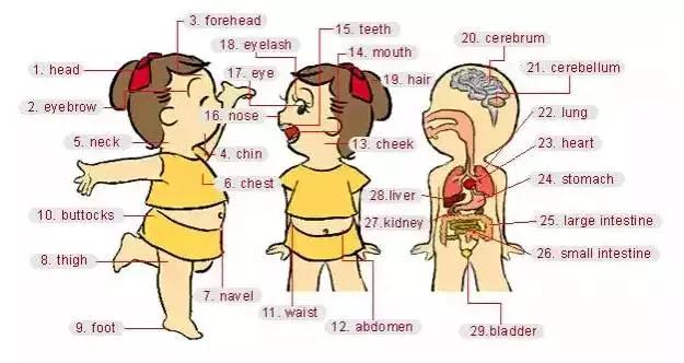 英语听力场景词汇,英语听力入门3000听力词汇