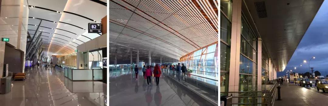 现在国人的审美态度 (中国人的审美变了吗)