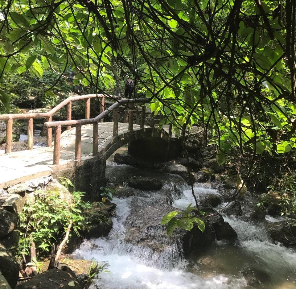 广西森林露营最佳的十大地点,广西大容山森林公园露营