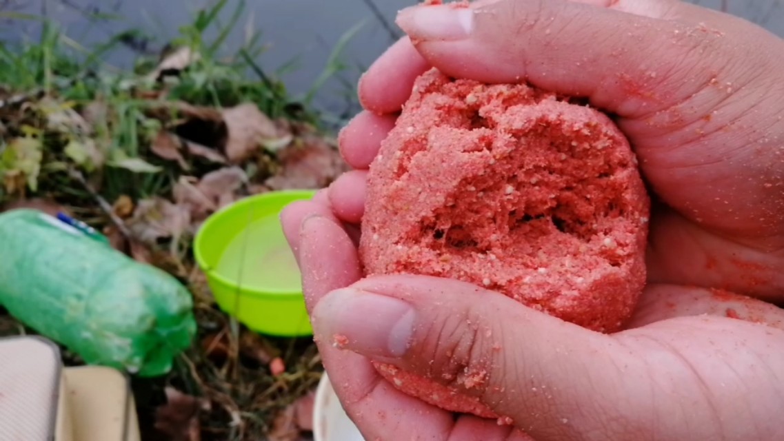 新手钓大鱼必会的技巧,不怕小鱼闹的饵