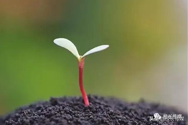 育儿经典100个,11个育儿经验在育儿路上少走弯路