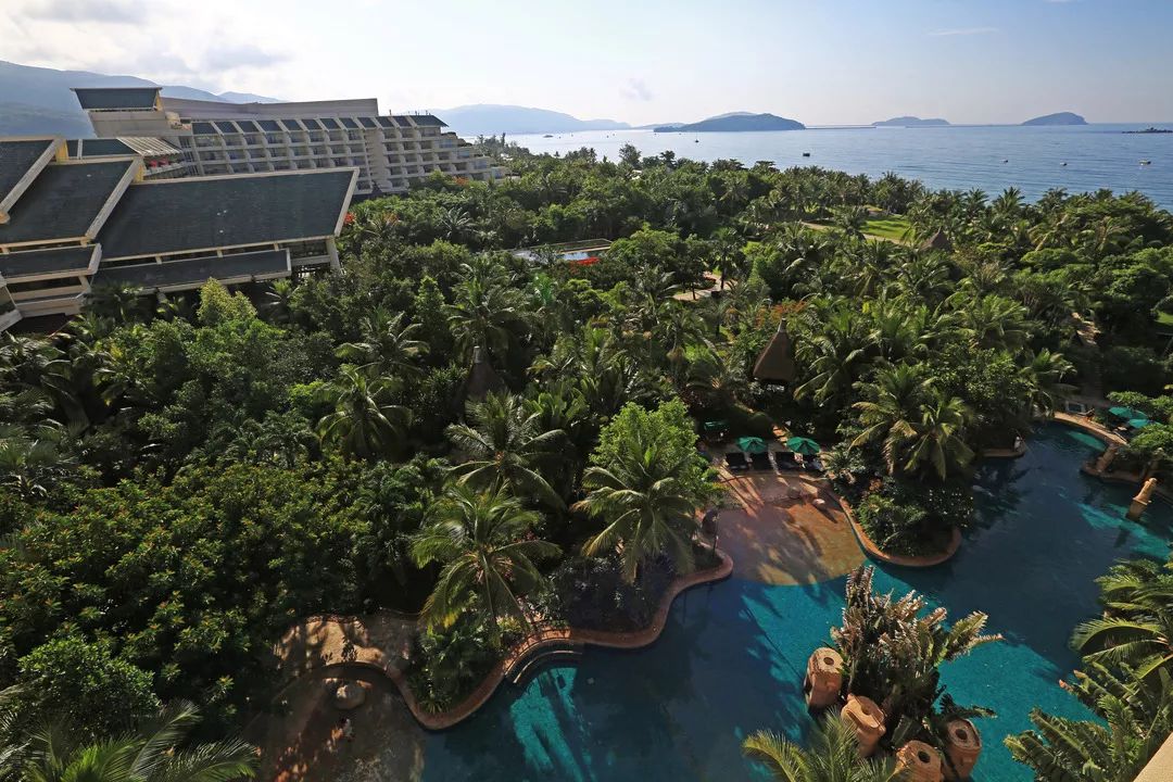 城市酒店好还是民宿好,度假酒店与城市酒店