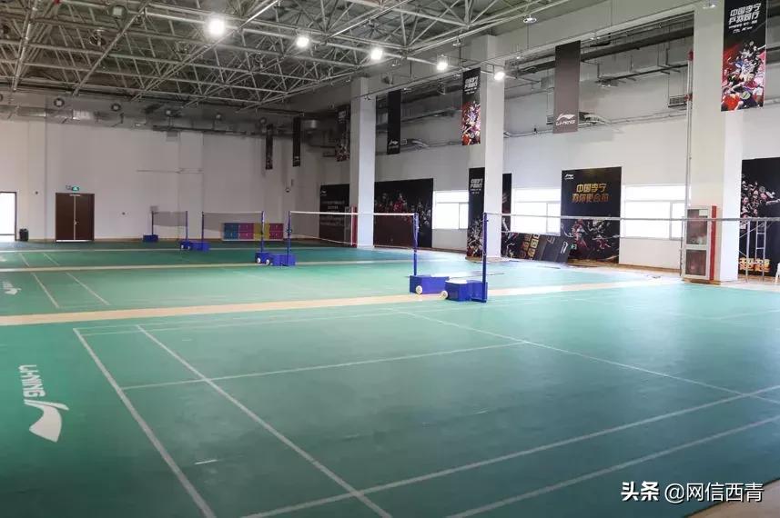 体操王子李宁走进天津西青——西青区全民健身运动会倒计时100天暨天津西青李宁运动中心开园活动举行