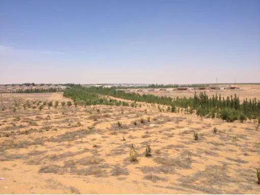 让农业真正回归照顾生命