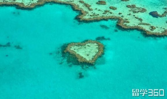 澳洲硕士留学全攻略,澳洲留学最详细攻略