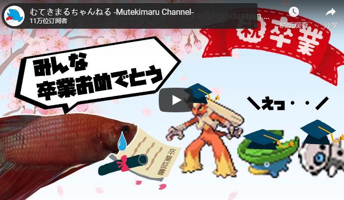 宝可梦探险寻宝如何卡bug,4条鱼通关宝可梦